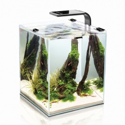 Аквариум Куб Aquael Shrimp Set Smart (20 литров)