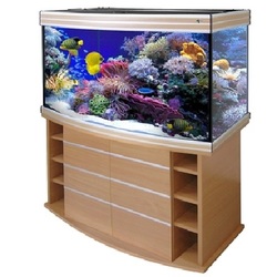 Премиальный аквариум Биодизайн (Biodesign) Altum Panoramic 300 литров панорамный