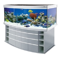 Премиальный аквариум Биодизайн (Biodesign) Altum Panoramic 700 литров панорамный