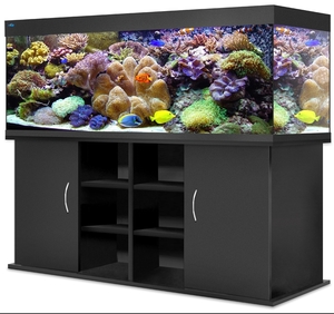 Прямоугольный аквариум Биодизайн (Biodesign) АТОЛЛ 650 литров
