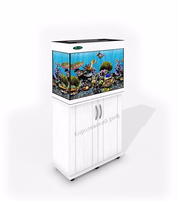 Аквариум литров: размеры, формы, фильтр, оформление аквариума
